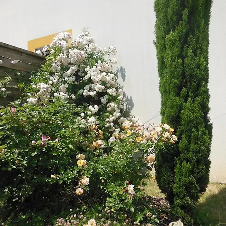 Solana Bed & Breakfast